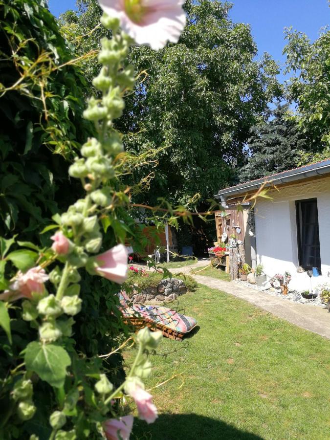 Bungalow Bei Warnemuende Elmenhorst/Lichtenhagen Eksteriør billede